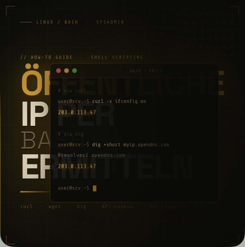 Öffentliche IP per BASH ermitteln